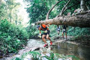 BIB: 
                            <button type="button" onclick="openModal(25434923)" class="btn btn-primary btn-sm float-right btn-popup" data-toggle="modal" data-target=".modal-high-quality">
                        <i class="fas fa-shopping-cart"></i> Add to Cart
                    </button>
                                            <button type="button" onclick="isThisMe(25434923, true)" class="btn btn-success btn-sm float-right btn-popup btn-isme hidden" data-toggle="tooltip" data-placement="bottom" title="นี่คือรูปของคุณใช่ไหม คลิกที่นี่เพื่อเอาเข้าอัลบั้ม">
                        <i class="fas fa-plus"></i> Add to album
                    </button>
                    <button type="button" onclick="isThisMe(25434923, false)" class="btn btn-warning btn-sm float-right btn-popup btn-isnotme hidden">
                        <i class="fas fa-ban"></i> Remove from album
                    </button>